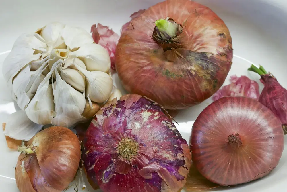 Oignons rouges et têtes d'ail sur une assiette